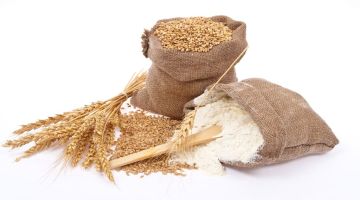 wheat flour market india